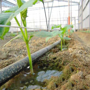 Hướng Dương lĩnh vực tưới nhỏ giọt dòng 0.2mm 30cm Emitter GAP-Sâu <span class=keywords><strong>taproot</strong></span> nhắm mục tiêu - Product Image 1