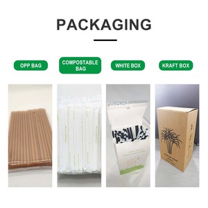 Populares en Europa y América, Pajitas Biodegradables de Caña de Azúcar de 6mm, 8mm y 12mm, Sin PLA, Compostables - Product Image 5