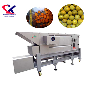 Machine industrielle de fabrication d'huile essentielle de citron et d'orange 500 kg/h, machine industrielle d'extraction d'huile d'orange - Product Image 2