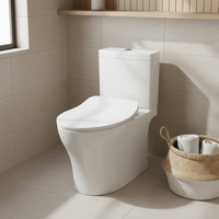 Accessoires d'origine neufs d'usine, ensemble WC en céramique à double chasse blanche avec siphon en S, comprenant cuvette et siège