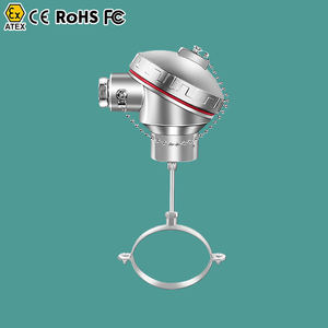 Sensores de Temperatura con Termopares RTD, Sensor Térmico IoT, Mini Termopar Pt100 de 6 mm - Product Image 1