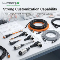 93 Tahun Kepercayaan Diri dari Lumberg Jerman, DIN M16 IP40 Tahan Air, Kabel Harness Rakitan PUR PVC 3-12 Pin yang Dibuat Sesuai Pesanan