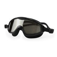 Masque de natation miroir revêtement loisirs mode leis Anti buée UV protéger étanche équipement de natation lunettes de natation adulte