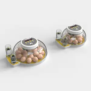 WQ inkubator telur mini, inkubator telur puyuh Ayam otomatis penuh pilihan model baru untuk ayam