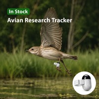 Traceur GPS pour essais sur le terrain, adapté aux oiseaux, aux faucons et aux rapaces, avec plateforme 2.2G et autonomie de 30 jours pour les études sur le terrain
