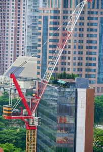Grue à tour à flèche orientable SLT315(T6031-18) de 18 tonnes, modèle <span class=keywords><strong>Hammerhead</strong></span> Flat - Product Image 6
