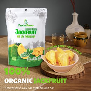 24-month <b>Shelf</b> Life Bulk Darlac Farms 100% Original Sweet Pale <b>Gold</b> Sliced Freeze-Dried BRCGS ISO Certified FD Jackfruit Vietnam - Product Image 2