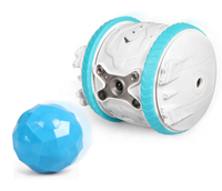 Haustier Iball A.I. Programmierbarer Roboter Automatisch Rollendes USB-Aufladbares Interaktives Katzen- und Hundespielzeug