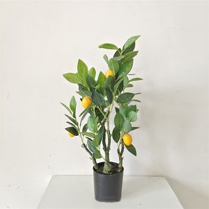 Citronnier artificiel <span class=keywords><strong>nain</strong></span> citronniers pour décor arbres fruitiers artificiels plante Faux plantes vertes petit bonsaï citron intérieur - Product Image 2