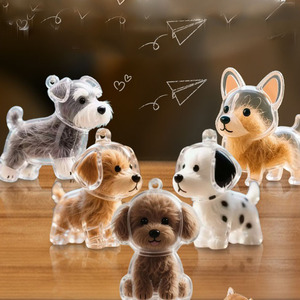 Caja Conmemorativa Transparente para Guardar Pelo de Mascotas, Recuerdo de Pelo de Animal - Product Image 1