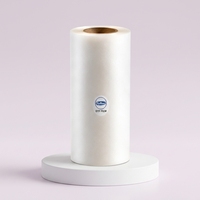 Film transparent en rouleau PET GRS pour transfert thermique, expédition rapide de l'usine DTF, 60 cm x 30 cm, A3