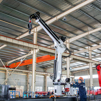Grue marine à bras unique de 2 tonnes avec treuil hydraulique pour processus d'électrophorèse, capacité de levage 1 à 2 tonnes, modèle SQ2ZA2TJ