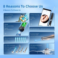 Endoscope Visuel Numérique HD avec Caméra Auriculaire, Éclairage LED, en ABS et Acier Inoxydable, pour l'Inspection et le Nettoyage Magique des Oreilles, avec Bâtonnet de Nettoyage Auriculaire