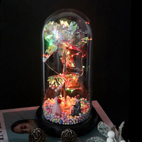 Rose en verre sous cloche avec feuille d'or 24 carats 2026 - Lumières LED - Cadeau écologique pour l'intérieur/l'extérieur pour Noël, la Saint-Valentin, la fête des mères