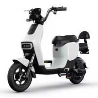 Léger Ebike Moto Adulte Électrique Quad Bike Deux Sièges Vélo Électrique Adulte Scooters Électriques à Vendre