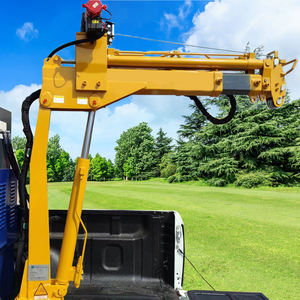 Mini grue montée par camion de 0.8ton 800kg 1 tonne grue montée par levage hydraulique - Product Image 1