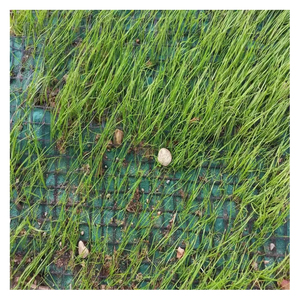 Tapis de renforcement en <span class=keywords><strong>gazon</strong></span> de coco au design moderne Couverture de contrôle de l'érosion en fibre de coco <span class=keywords><strong>pour</strong></span> géotextiles de protection des talus de rivière - Product Image 5