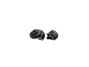 Figurita de Caracol de Harry para decoración, piedra de Caracol de resina de varios colores, utillaje de <span class=keywords><strong>película</strong></span> - Product Image 5