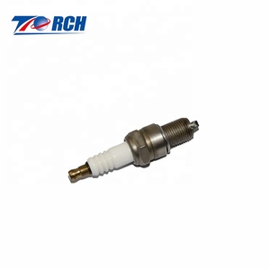 Bujías Industriales de Iridio 14R-4CIU2 RN79WYW RN79G para Motores Bergen - Product Image 4