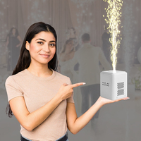 Machine à étincelles froides blanches pour événements de lutte, 350W, certifiée CE, mini fontaine d'étincelles froides pour mariage, fête, camping, club, DJ