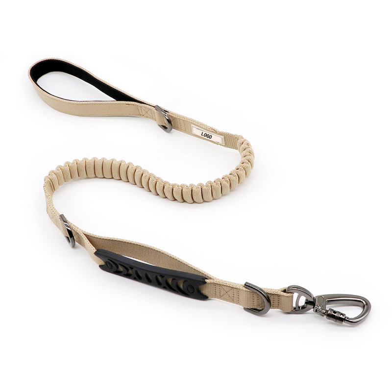 Питомцы, бегущие на улице, играющие утром бегущие, чтобы предотвратить и потерять тянущиеся кольца для собак