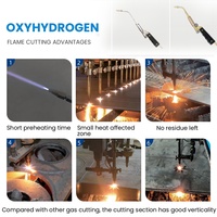 Torche oxyhydrogène H160, 300W 220V, kit de brasage HHO pour le brasage de bijoux, le polissage et la réparation de l'acier inoxydable, vente en gros