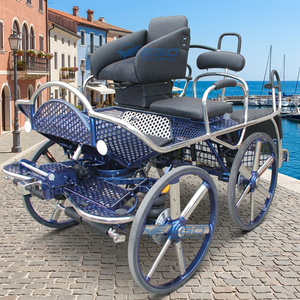 Maratón Turístico Entrenador Carro de caballos Carro de sillín de caballo - Product Image 1
