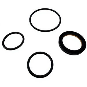 Kit de réparation mineur pour vannes à tournant de 1, 2 et 3 pouces, en HNBR, FKM, NBR, pour MSI LT <span class=keywords><strong>RDI</strong></span> ANSON SPM Lo-Torc, avec inserts en laiton - Product Image 6