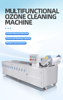 800KG/H 304 RVS Multifunctionele Automatische Ozon Desinfectiewasser voor Catering en Voedselproductielijn