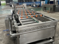 Industriële hogedrukreinigingsmachine voor vers fruit (mango, appel) en groenten met luchtbellen