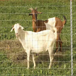 Cerca galvanizada para gado, cerca de campo para cabras e gado, preço barato, 1.2m