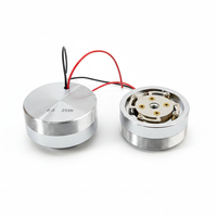 Haut-parleurs audio portables 25W 4 Ohm/8 Ohm 44MM à large bande avec vibration de massage, haut-parleur de basses à résonance Altavoz Portatil