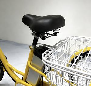 Vélo électrique de 20 pouces avec moteur sans balais de 250 W, batterie 48 V 12 Ah, capacité de charge de 100 kg - Product Image 6