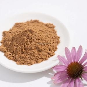 عالية النقاء إشنسا استخراج جذور أنغستفوليا مسحوق بوليفينول الأعشاب قسط إشيناسيا بوربوريا استخراج - Product Image 5