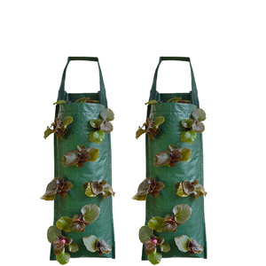 Sacs <span class=keywords><strong>de</strong></span> culture suspendus pour fraises et tomates <span class=keywords><strong>de</strong></span> jardin, pots <span class=keywords><strong>de</strong></span> plantes, conteneurs non tissés pour jardin vertical, sacs <span class=keywords><strong>de</strong></span> culture suspendus pour plantes - Product Image 6