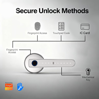 Kunci Sidik Jari Paduan Seng Harga Pabrik dengan Kata Sandi & Penyimpanan Cloud untuk Pintu Baja/Kaca Gagang Pintu Kamar Tidur dengan Pegangan