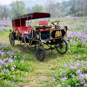 Chariot de princesse Cendrillon électrique populaire à 4 roues, 6-8 places, pour mariages royaux et visites touristiques - Product Image 1