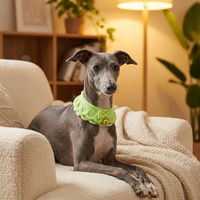 Collier personnalisé de luxe populaire pour chien et chat, design classique, couleurs mélangées, en coton et acrylique, confortable, collection automne, fabriqué par le producteur