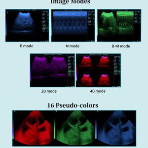 Ecografo Veterinario Portatile A6 - Sonda Convessa Integrata per Gravidanza di Cani e Suini - Product Image 4