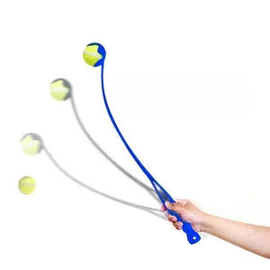 Amazon Hot-sale Pet Training Supplies Ball Throwers Pet Throw Cue For Dog Outdoor Pet Interactive Movement Toys Dog Toys