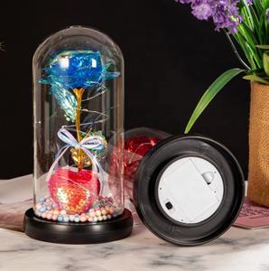 Amore <span class=keywords><strong>romantico</strong></span> all'ingrosso rosa incantata in cupola di vetro con luce a LED anniversario san valentino miglior <span class=keywords><strong>regalo</strong></span> <span class=keywords><strong>per</strong></span> <span class=keywords><strong>lei</strong></span> - Product Image 3