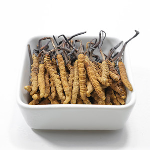 Nấm đông trùng hạ thảo Tây Tạng khô nguyên chất, chất lượng cao - Product Image 4