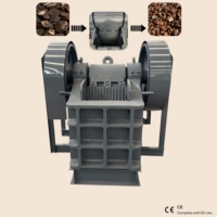 Concasseur à mâchoires PE250*400, capacité 20tph, option électrique/diesel, moteur puissant, performance stable, utilisation facile, assistance 24h/24