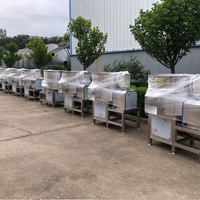 Automatische productielijn voor gepelde aardappelen & fruit met was-, schil-, snij- en vacuümverpakkingsfunctie voor zoete aardappel en wortelgroenten