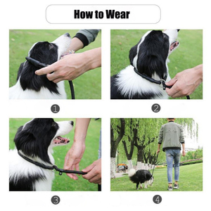 Chất lượng cao Pet Dog Leash Rope nylon có thể điều chỉnh đào tạo Dây đeo chì vật nuôi cổ áo với nhau Rope Dog Leash - Product Image 6