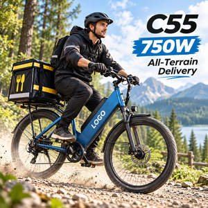 Vélo électrique de livraison Chamrider 750W, 48V 55Ah, pneus larges 26x3.0, couple élevé 80Nm, frein à disque hydraulique, vélo électrique à cadre basse C55 - Product Image 1