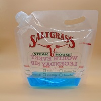 250 ml 500ml Emballage en plastique Transparent clair Liquide Eau Jus Boisson Pochettes Squeeze Spout Pouch Sac avec Bec