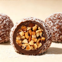 Disponible en OEM/ODM : Boules de chocolat truffé au noix, enrobées de cacao, confiserie, collation