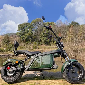 2023 New Electric New Model Off Road Motorcycle Standing Scooter Powerful And Strong Scooter Adult Electric New Model Off Road M