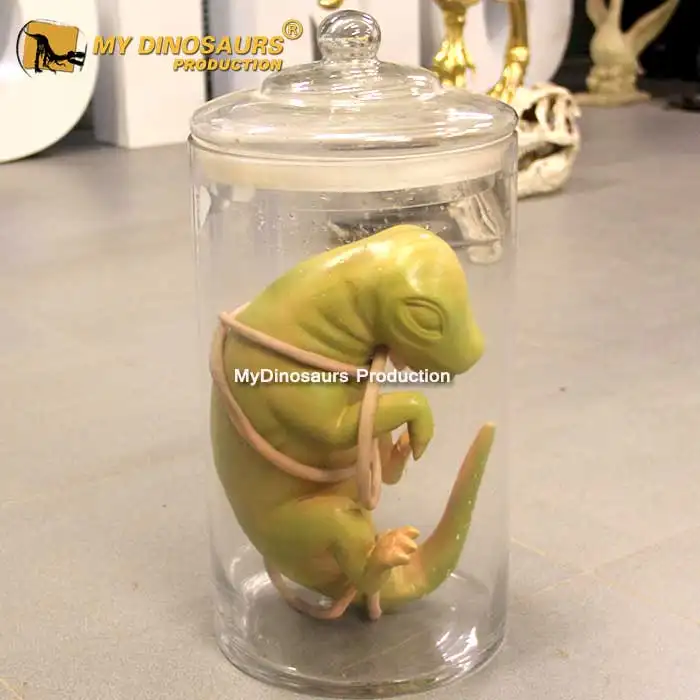 R Customized Realistic Animatronic Baby Dinosaur Embryo